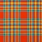 Reiver Light Weight Tartan Fabric - Chattan Ancient